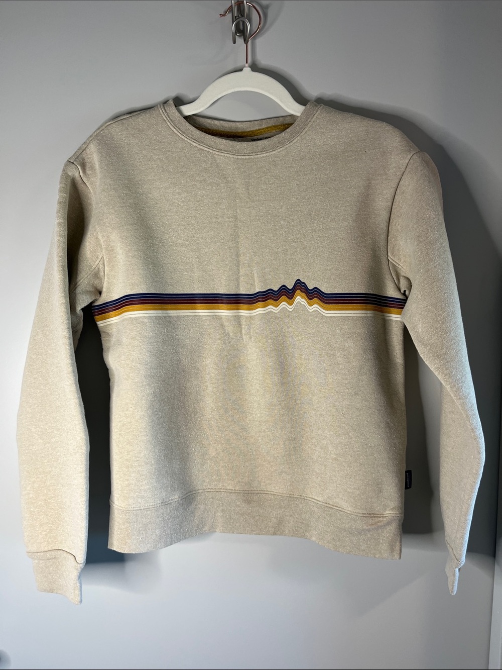 NWOT Patagonia sweatshirt